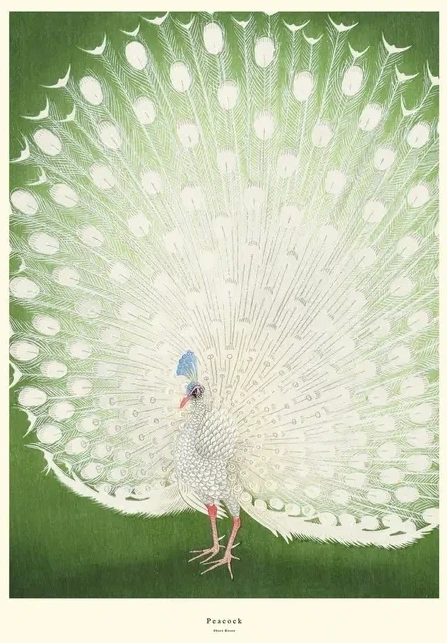 Peacock