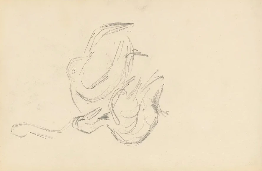 Pelicans