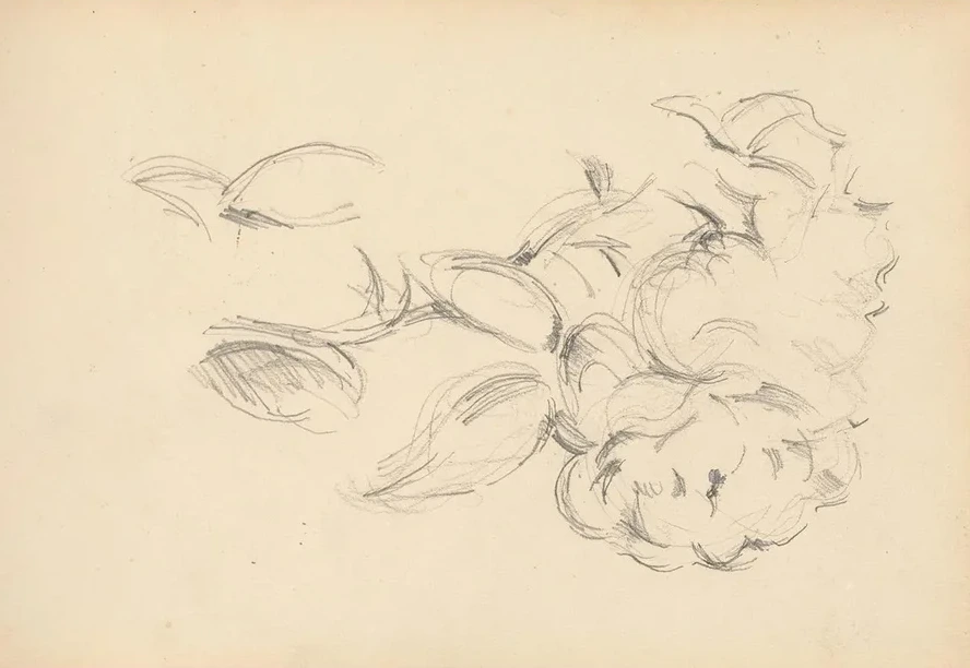 Peonies