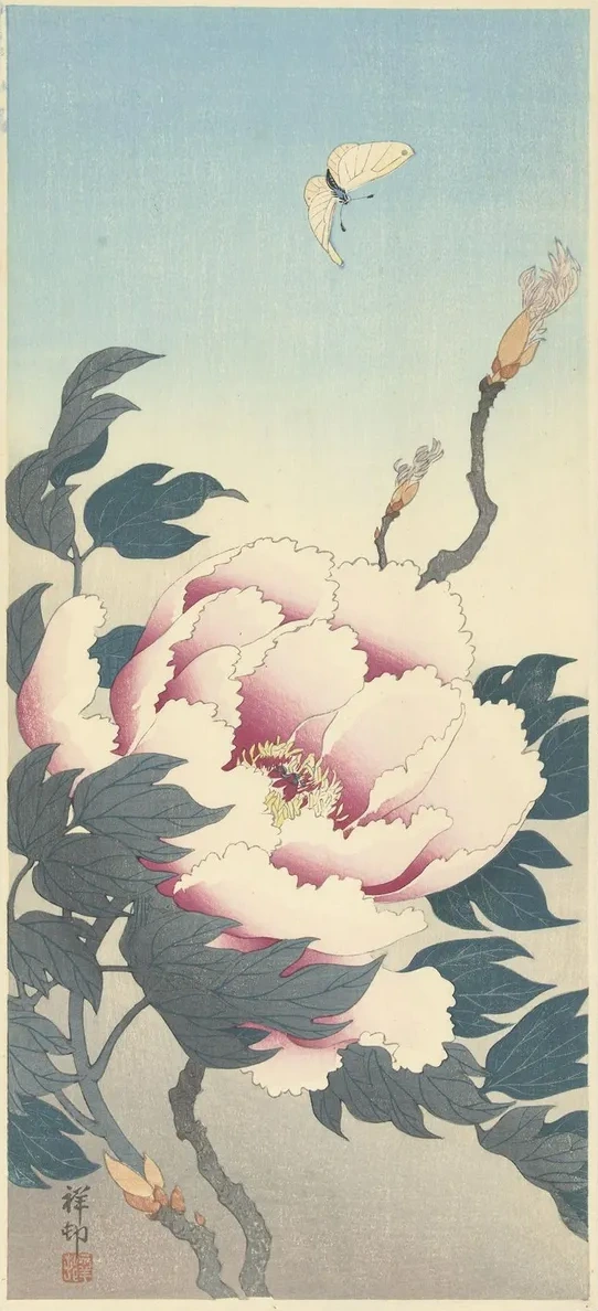 Peony with Butterfly