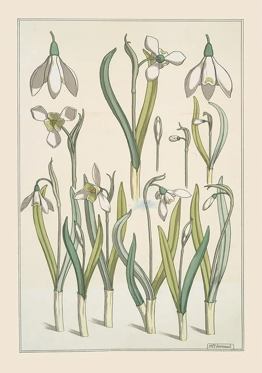 Perce - Neige