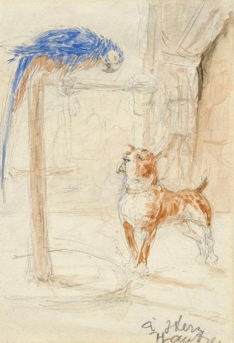 Perroquet et Chien