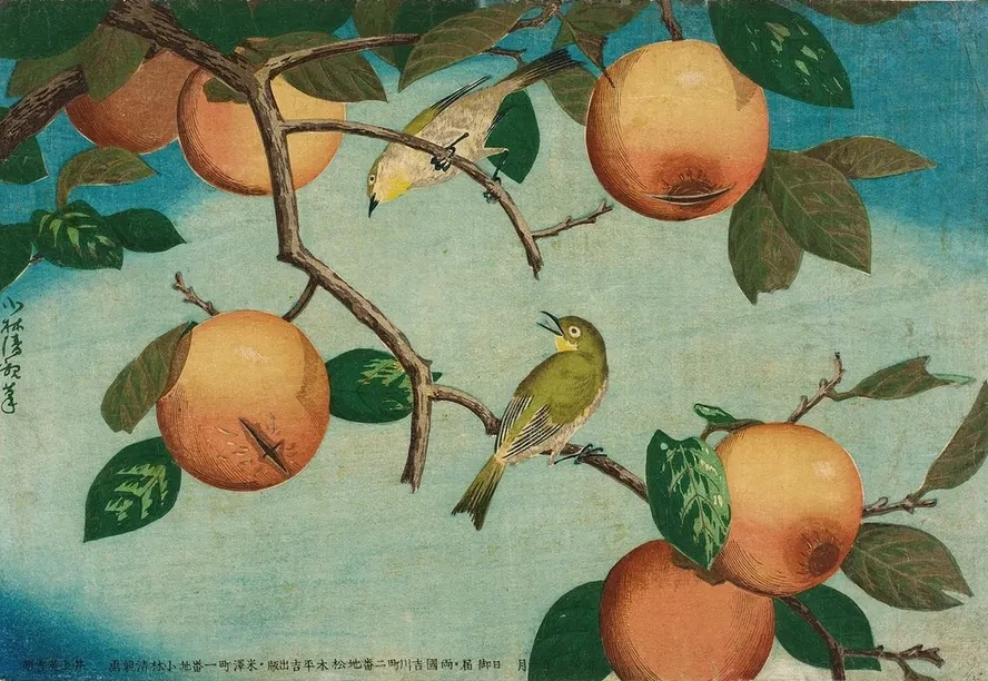 Persimmons and White - Eyes