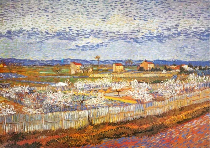 Pesco in Fiore 31057