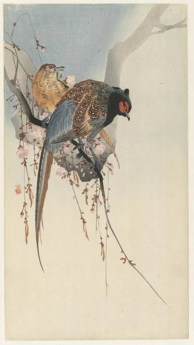 Pheasant Couple and Plum Blossom