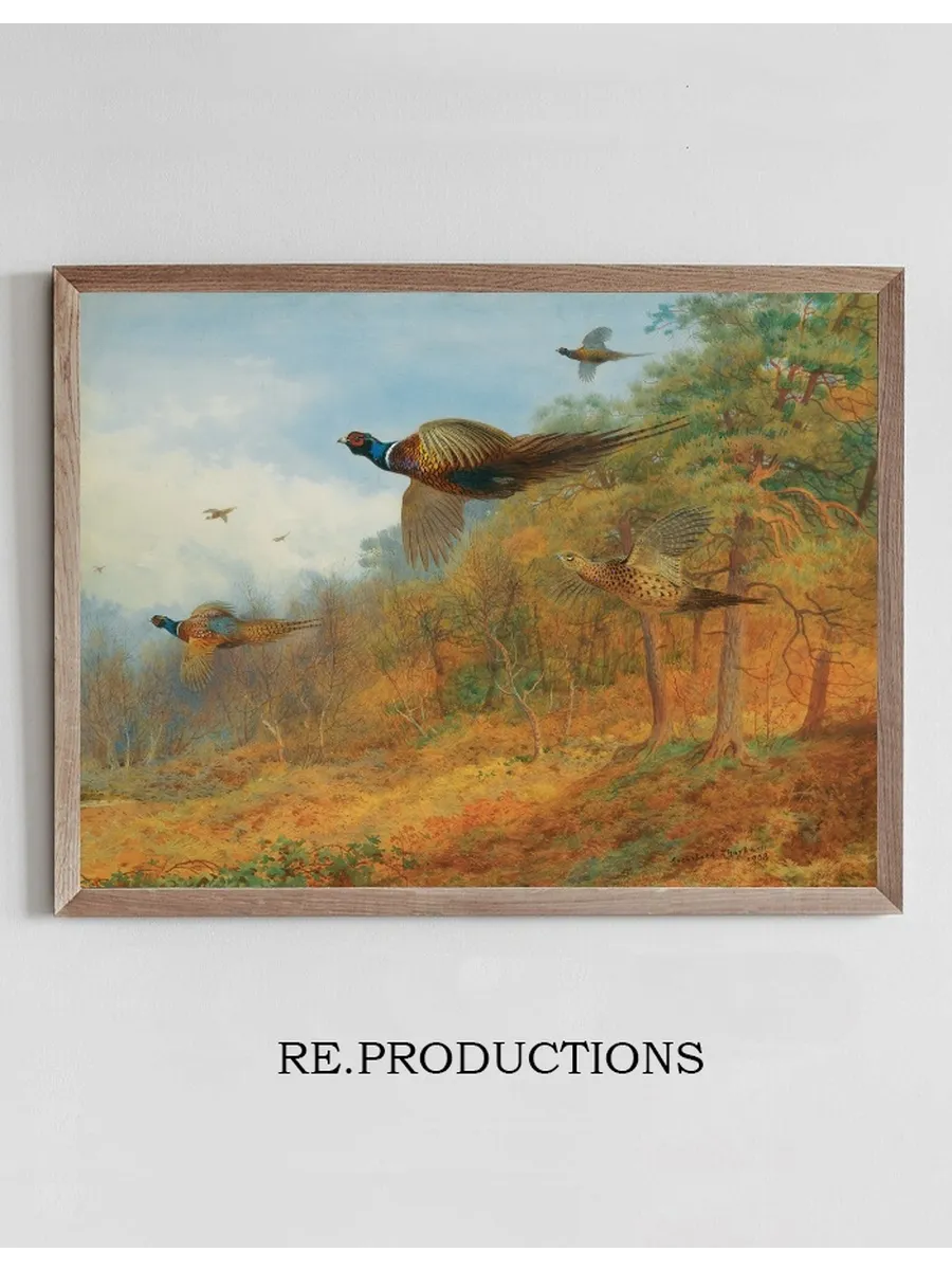 Pheasants Breaking Out Of Cover