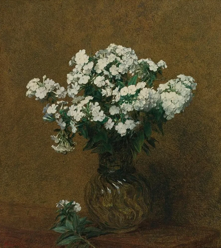 Phlox Blancs Dans Un Vase