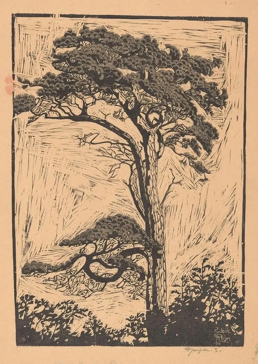Pijnboom