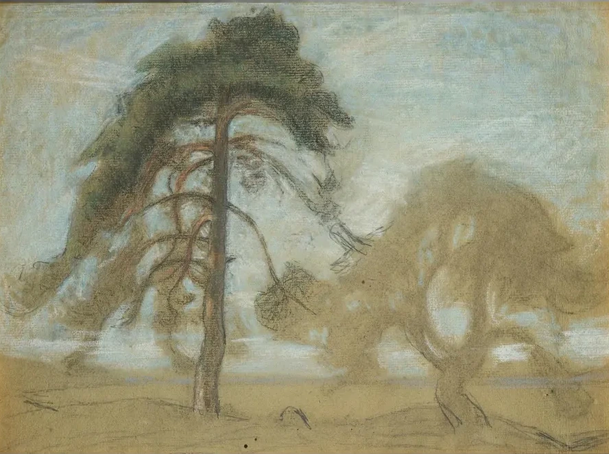 Pine Trees Tyres