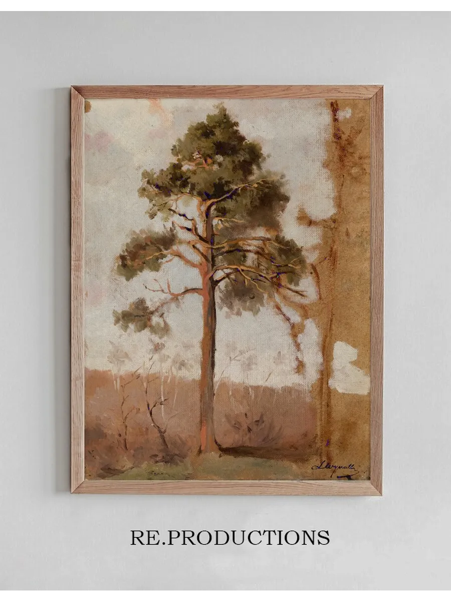 Pines at Po ga