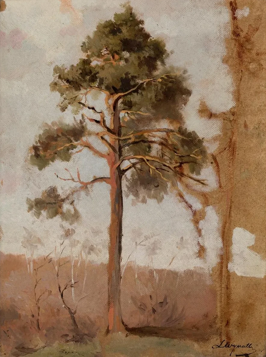 Pines at Po ga