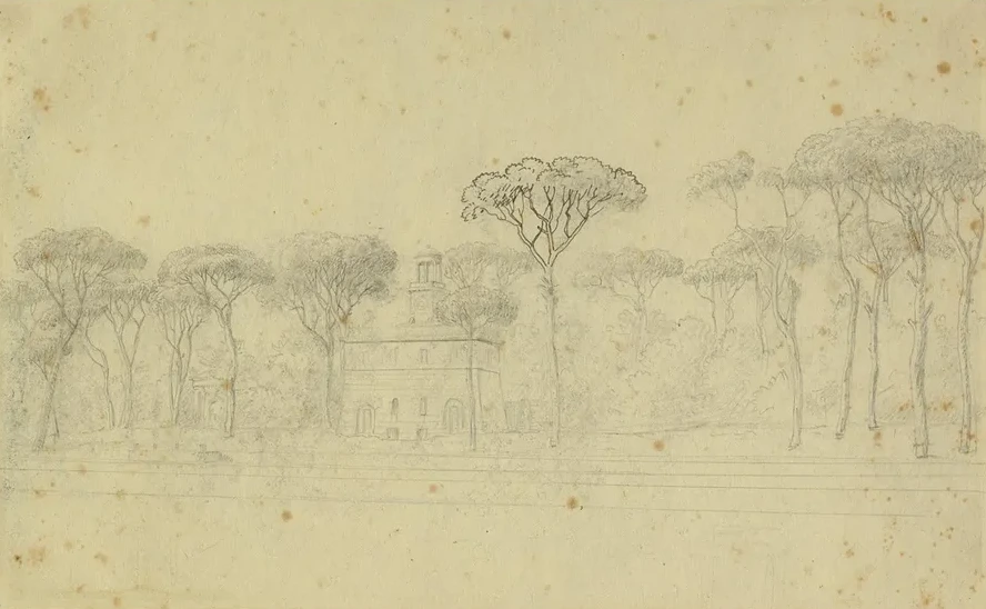 Pinier I Villa Borgheses Have