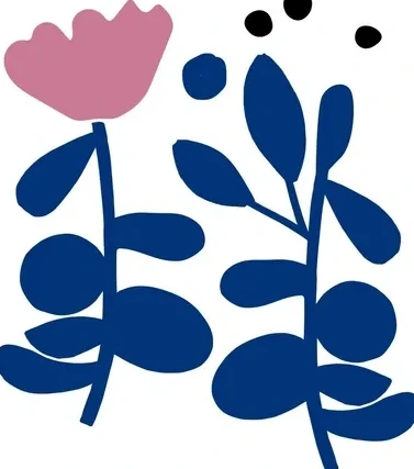 Pink & Blue