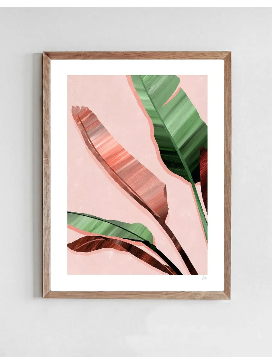 Pink and Green Banana Leaves