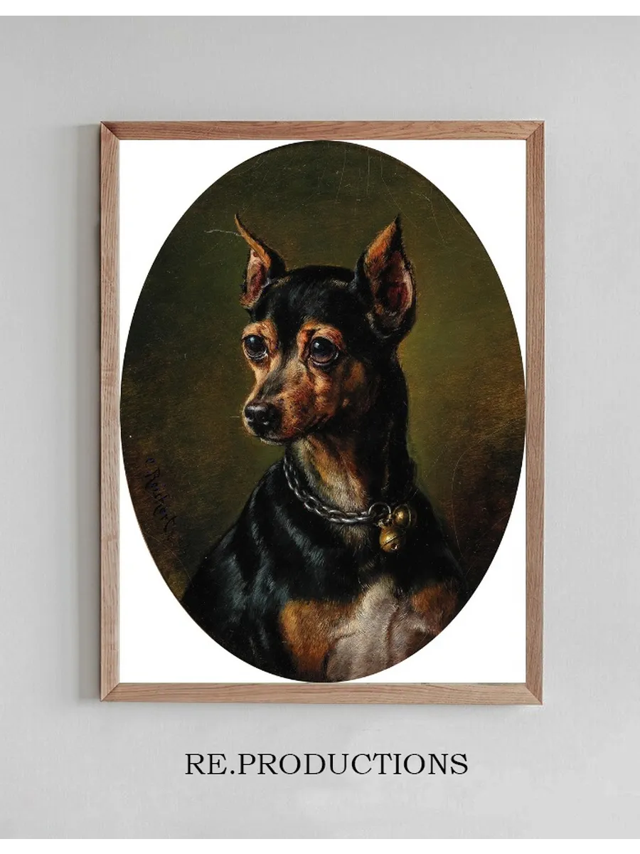 Pinscher in Collar with Bells