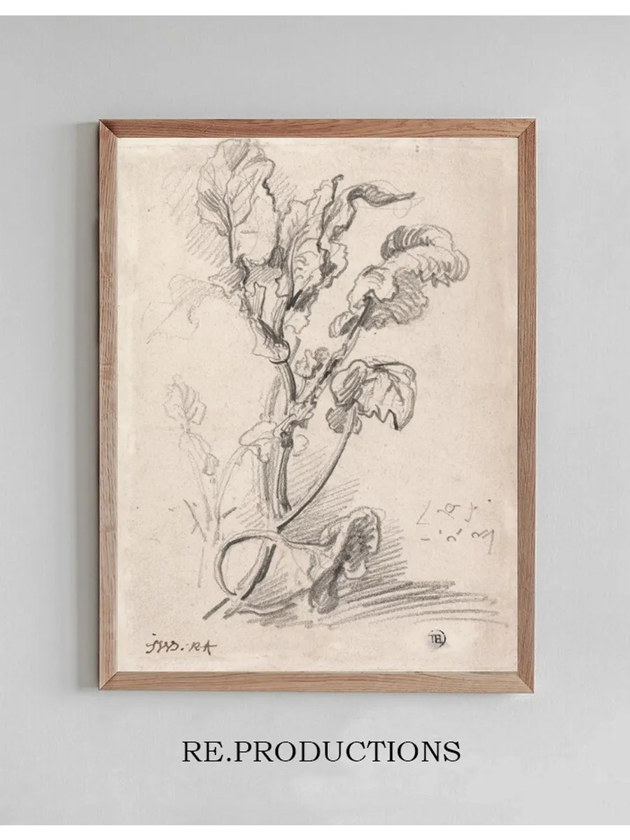 Plant Study