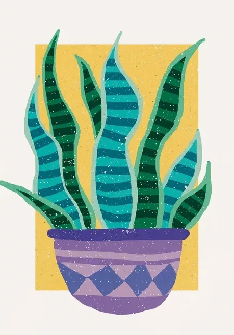 Plant in the Sun