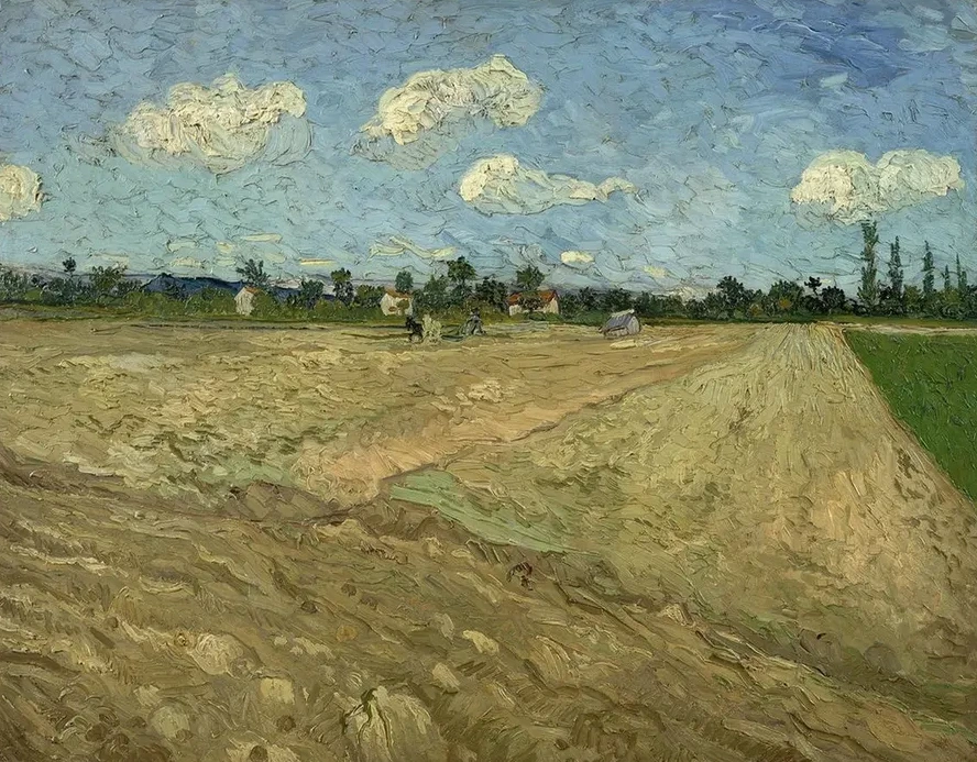 Ploughed Fields (the Furrows)