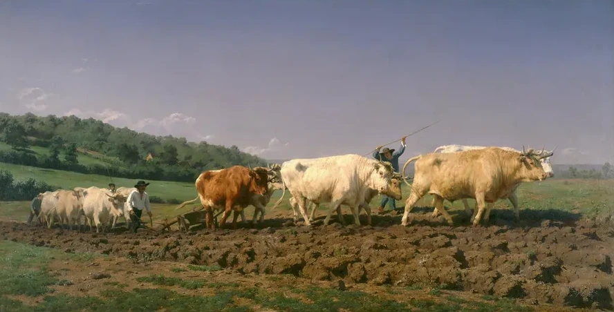 Ploughing in Nevers