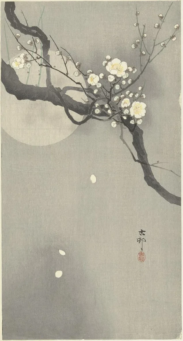 Plum Blossom and Full Moon