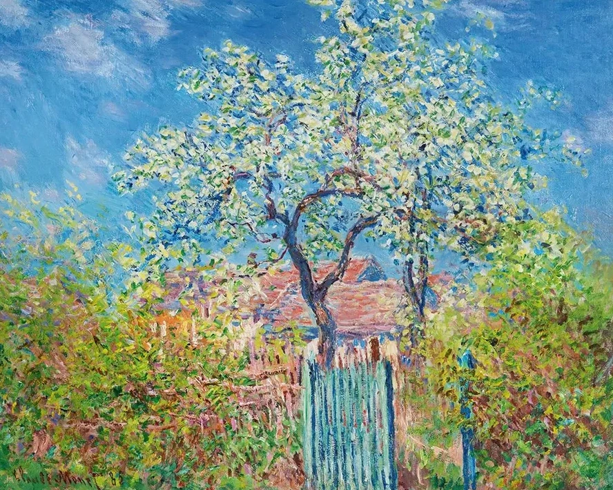 Poirier En Fleurs
