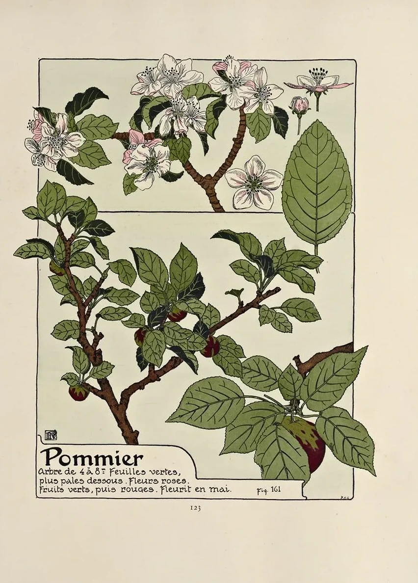 Pommier