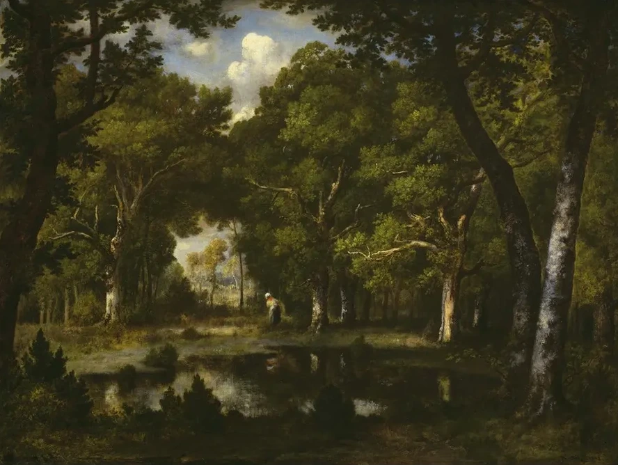 Pond in the Woods