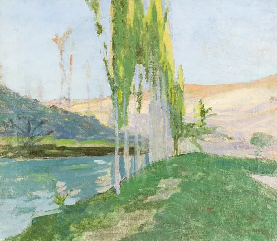 Poplars Growing Near a Watercourse