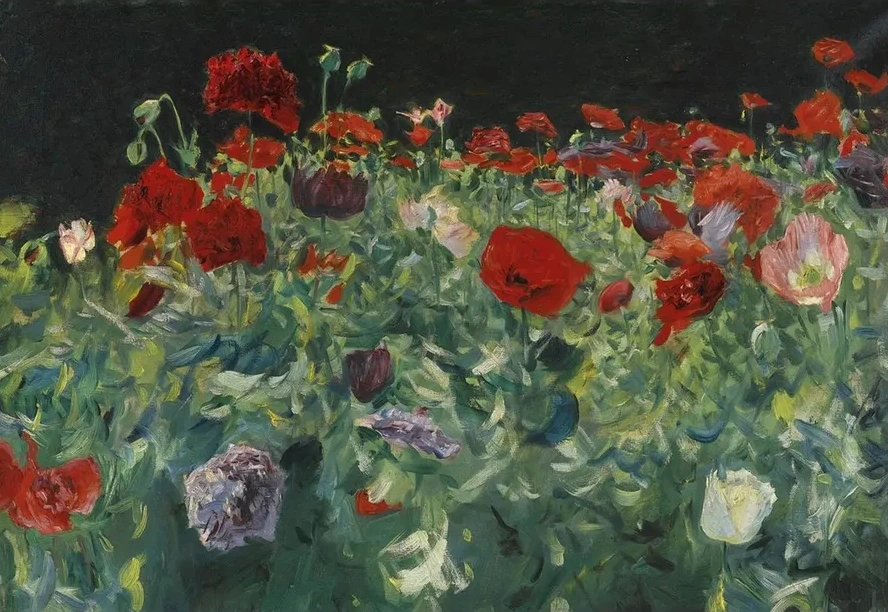 Poppies