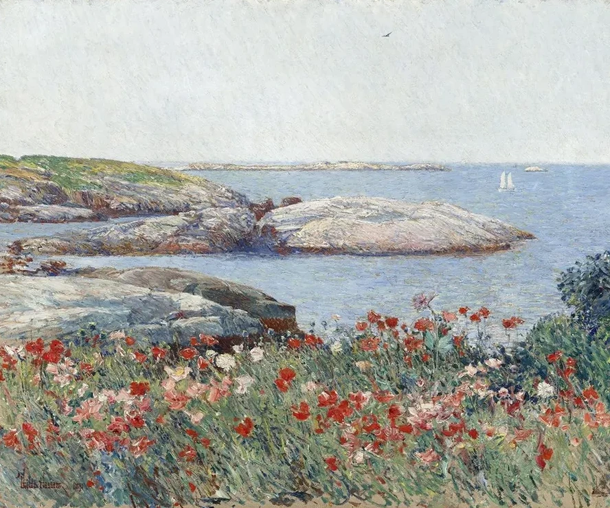 Poppies,Isles of Shoals
