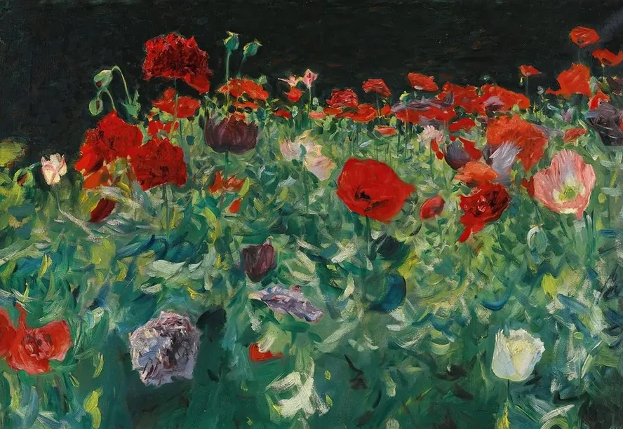 Poppies