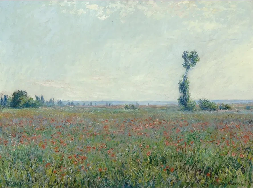 Poppy Field 2