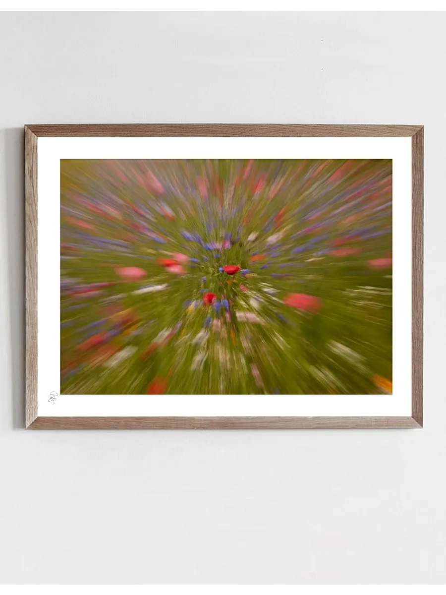 Poppy Magic