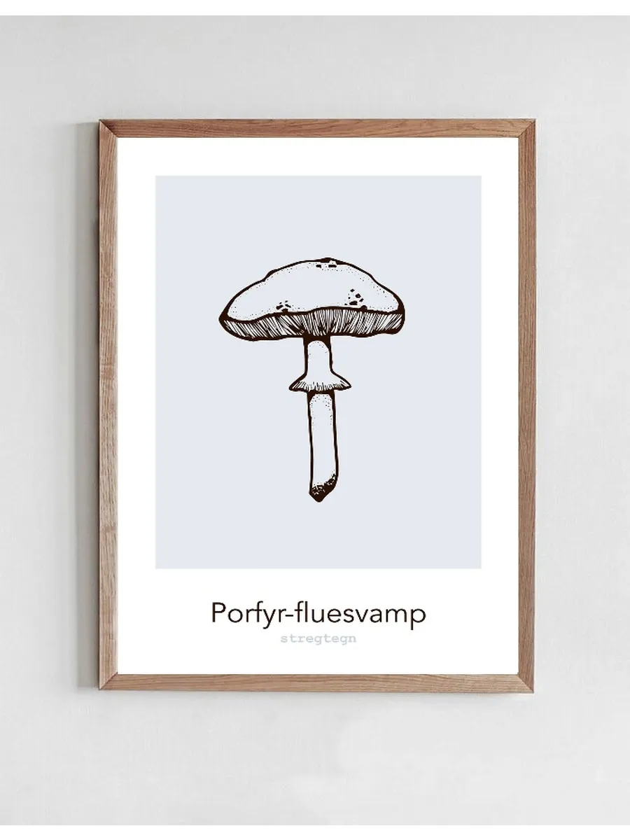 Porfyr - Fluesvamp