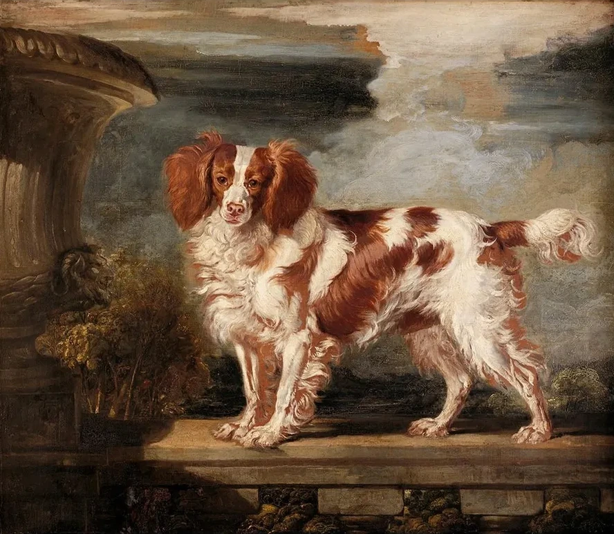 Portrait of Dash, a Favourite Spaniel, the Property of Lady Frances Vane - Tempest
