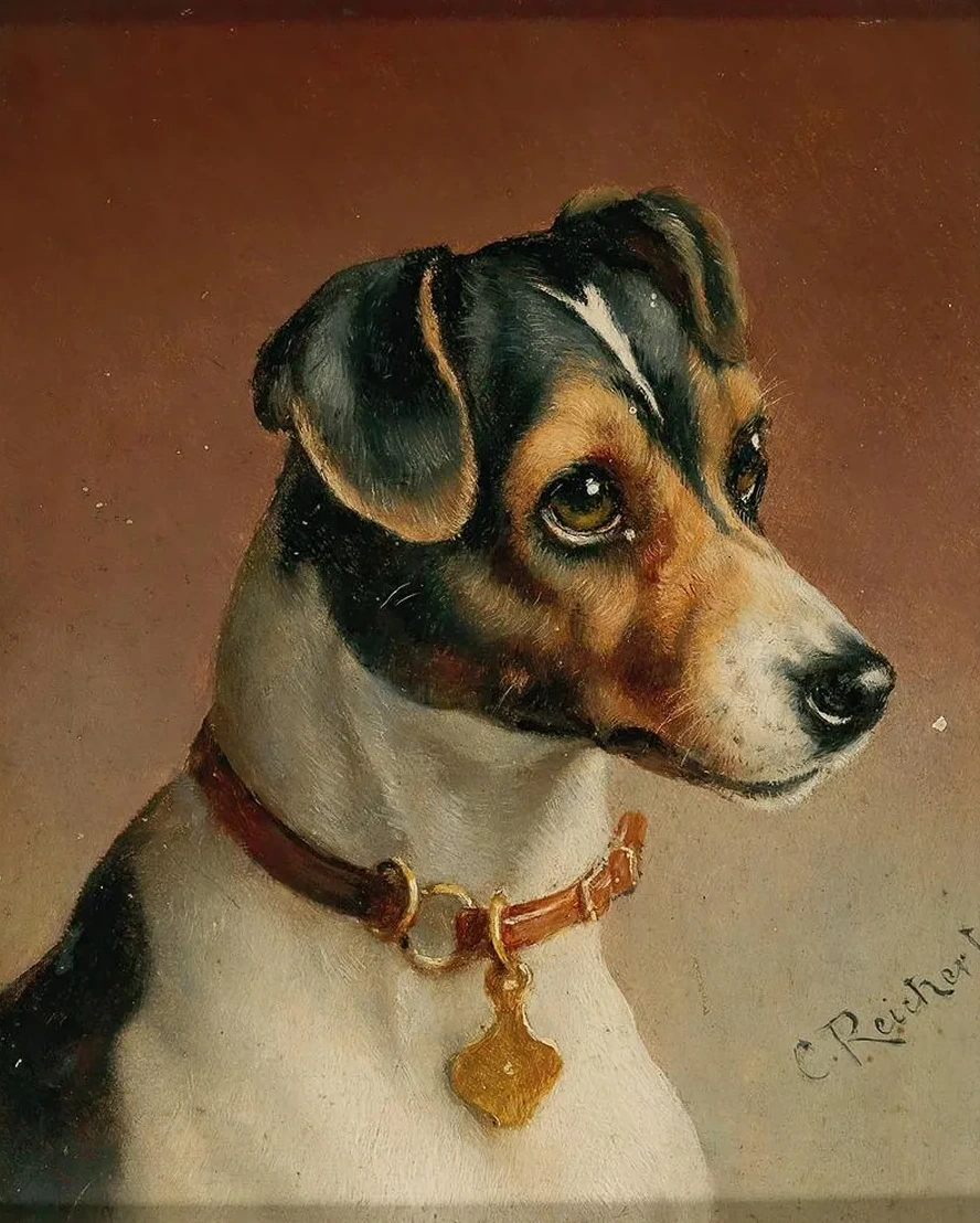 Portrait of a Jack Russel Terrier
