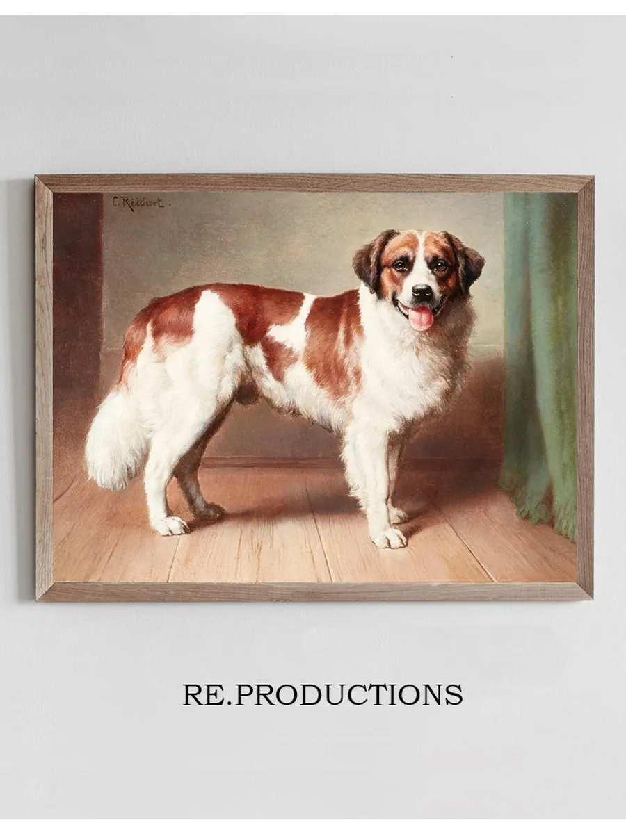 Portrait of a St. Bernard