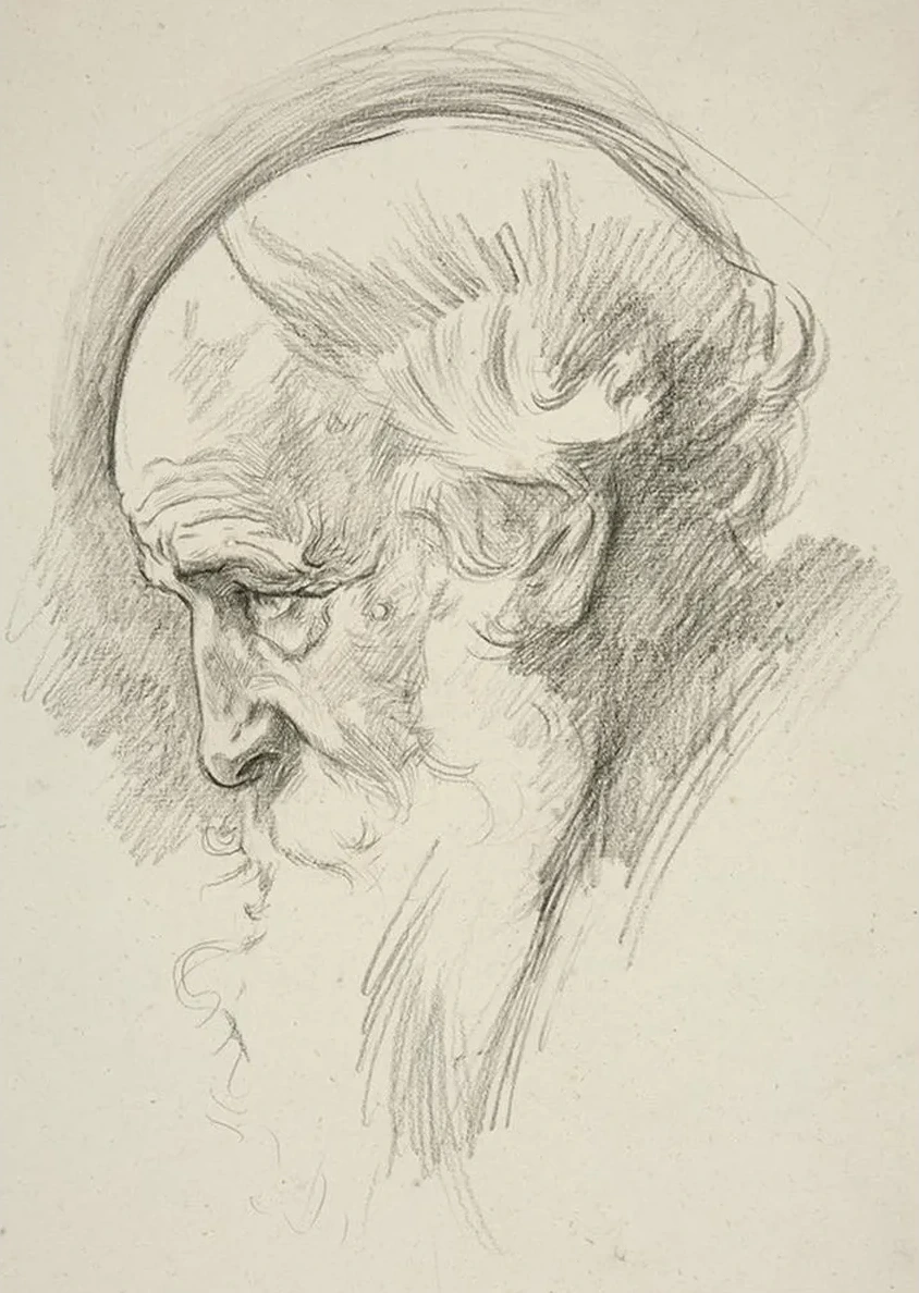 Portrait of an Old Bearded Man, Inprofile