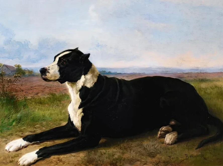 PortraitOf A Mastiff - Labrador In A Landscape