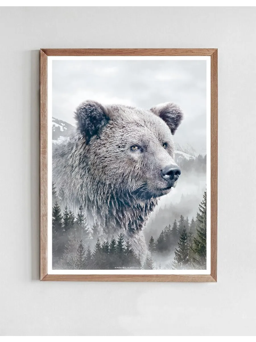 Portraits Brown Bear
