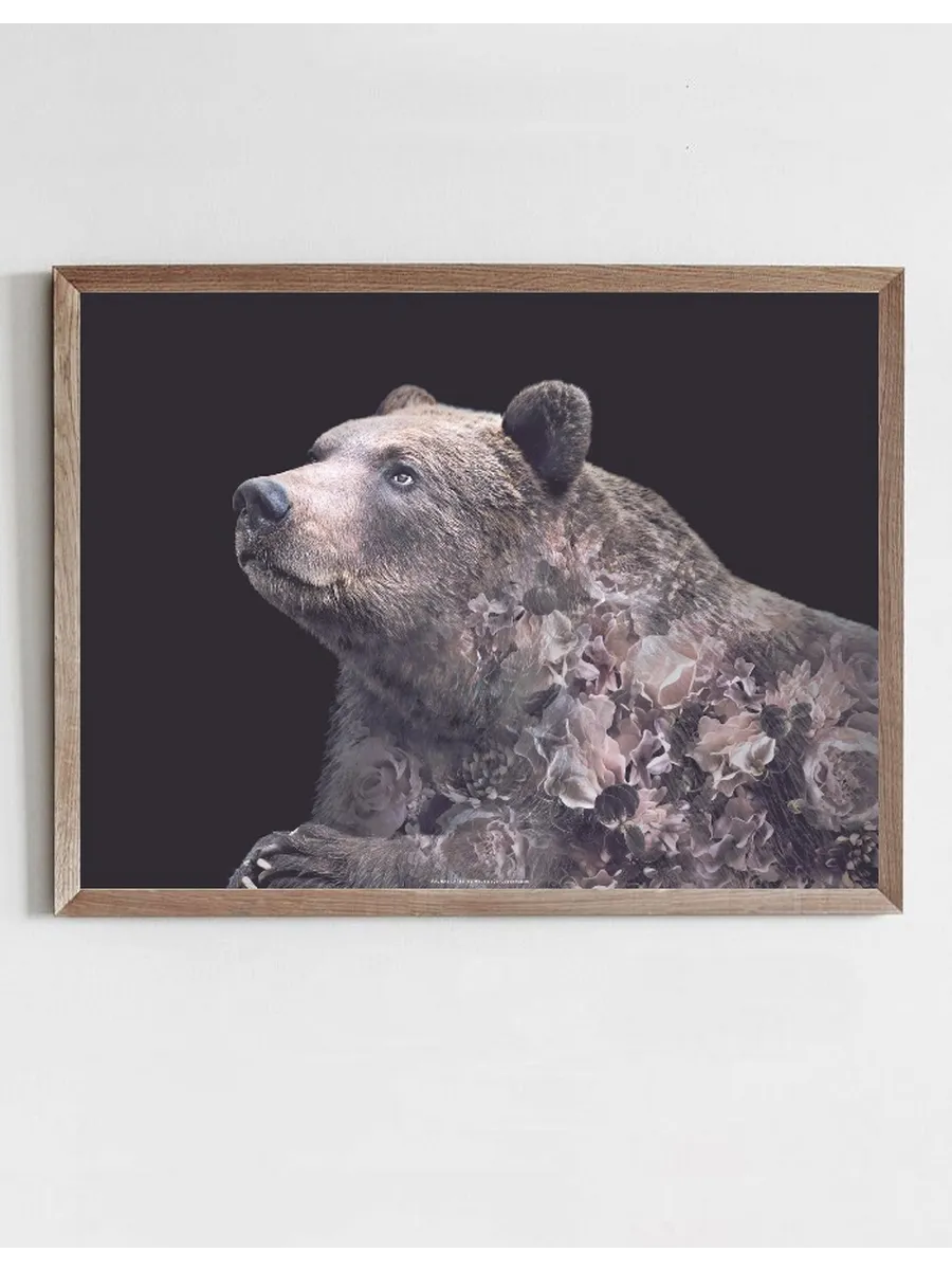 Portraits Grizzly Bear