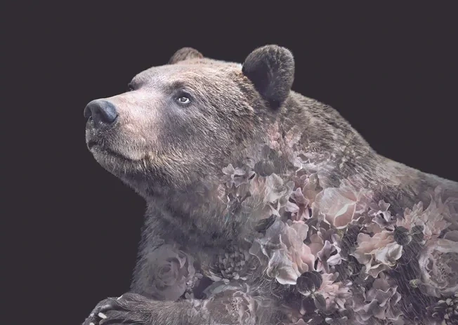 Portraits Grizzly Bear