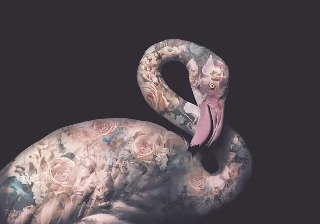 Portraits Pink Flamingo