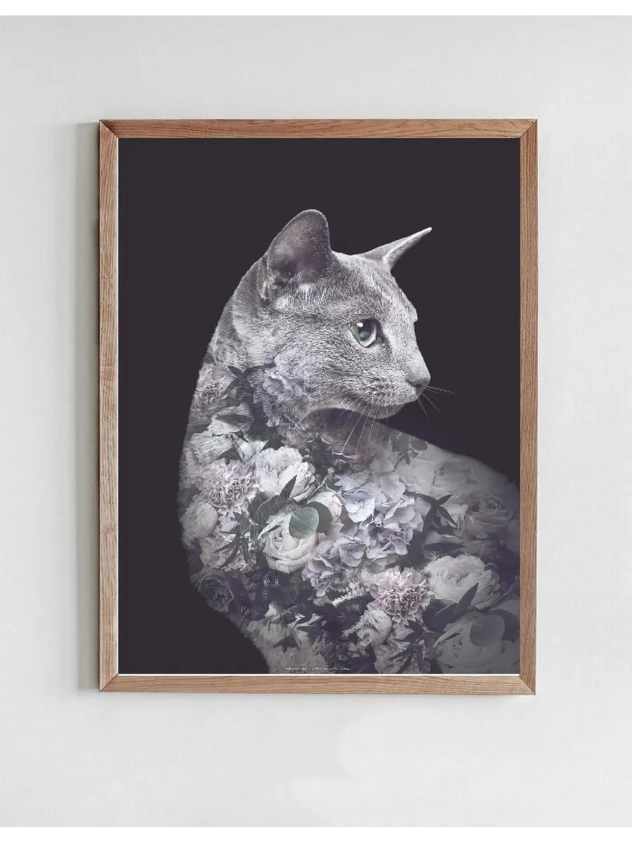 Portraits Silver Cat
