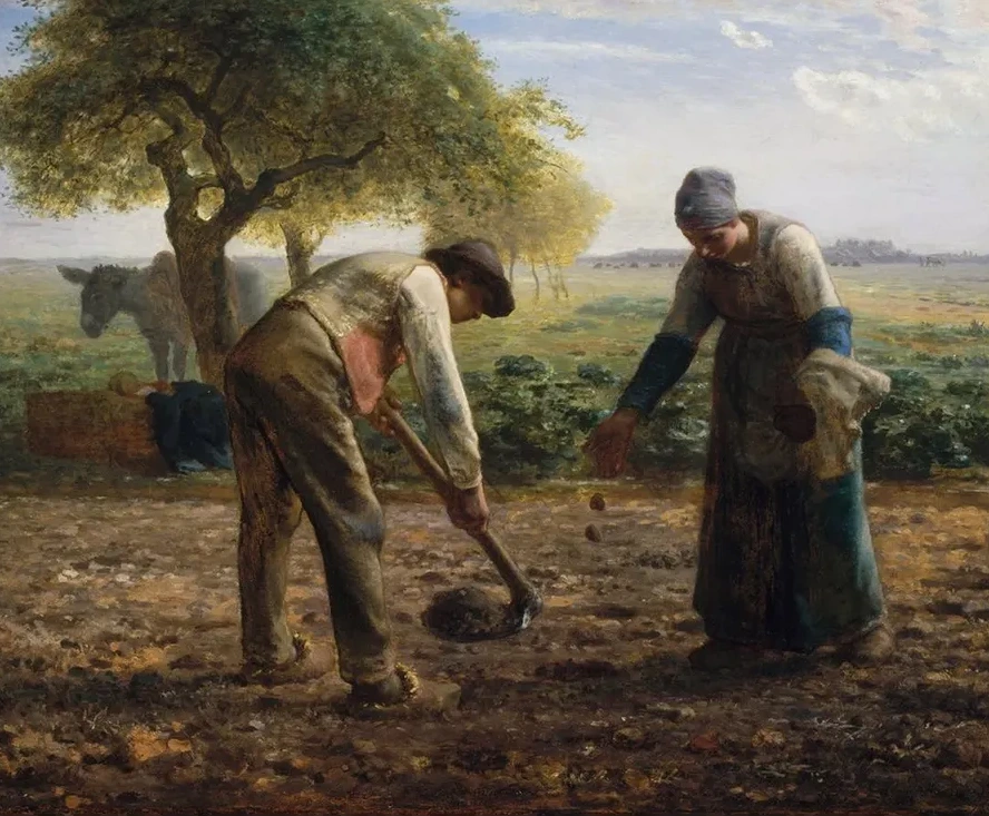 Potato Planters