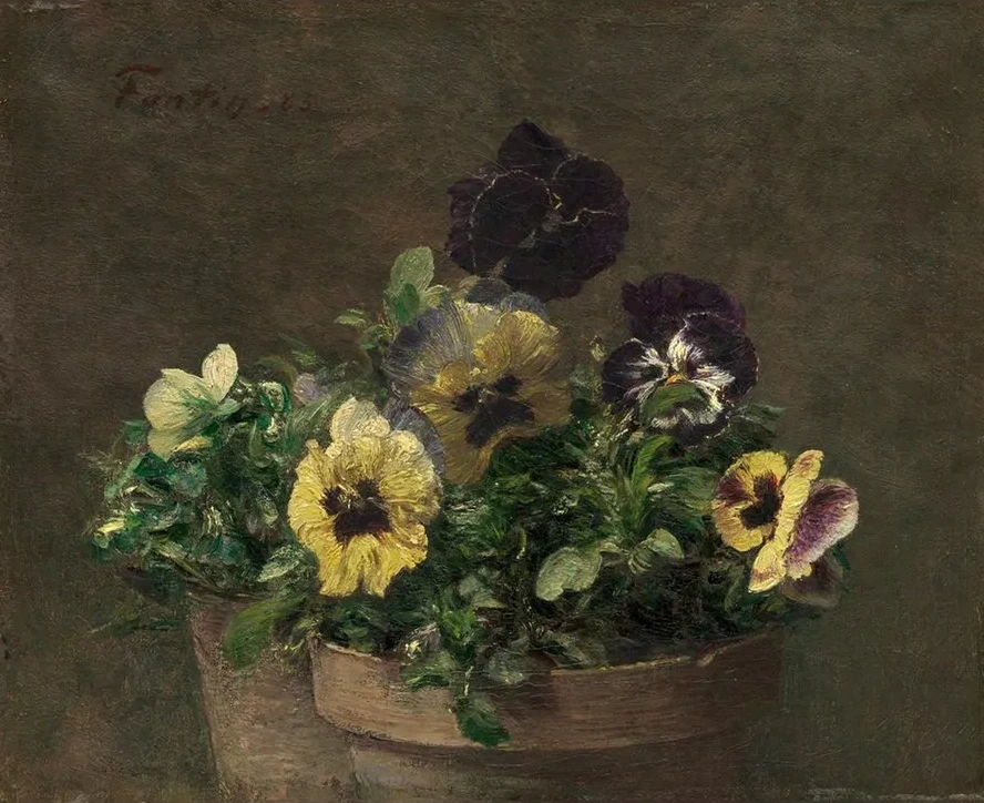 Potted Pansies