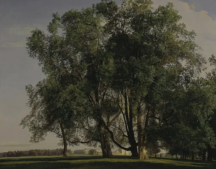 Prater Landscape