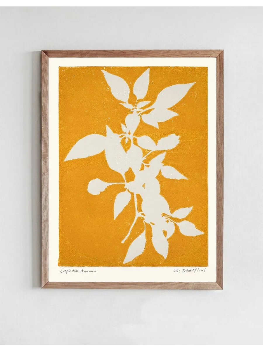 Printed Plant - Capsicum Annuum II