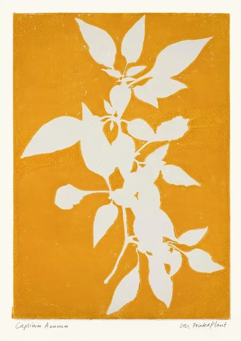 Printed Plant - Capsicum Annuum II