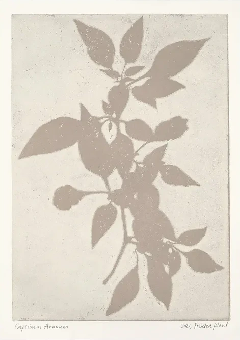 Printed Plant - Capsicum Annuum